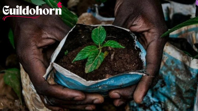 Nachtschattenlähmung – Symptome & Behandlungsmöglichkeiten Nachtschattenlähmung – Symptome & Behandlungsmöglichkeiten